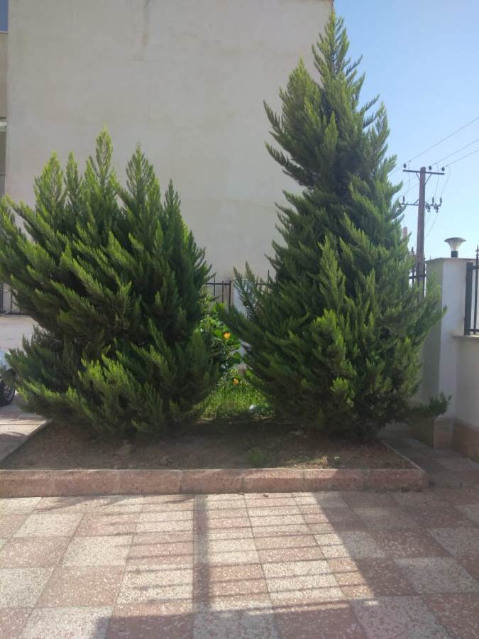 حیاط کتابخانه عمومی میرزا کوچک جنگلی