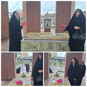 اخبار و اطلاعیه